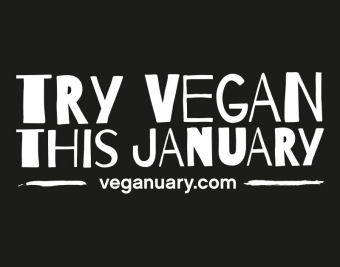 Veganuary – The Wrap Party