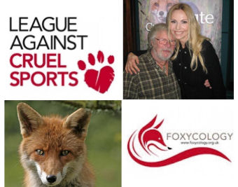 Foxycology – League of Cruel Sports