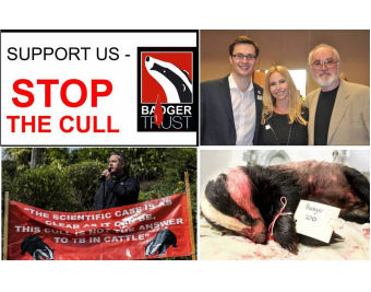 Badger Trust Debate on The Badger Cull & Wildlife Crime Bristol April 18th 2015