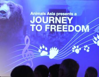 Animal Asia Foundation ‘Journey to Freedom’ Celebrity Fundraising Dinner