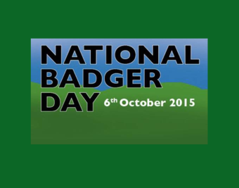 National Badger Day