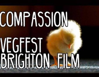 VegFest Presenter Anneka Svenska explores 'compassion' at Bright VegfestUK 2016