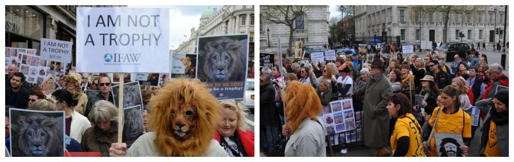 March to Stop Lion Trophy Imports 30.04.16