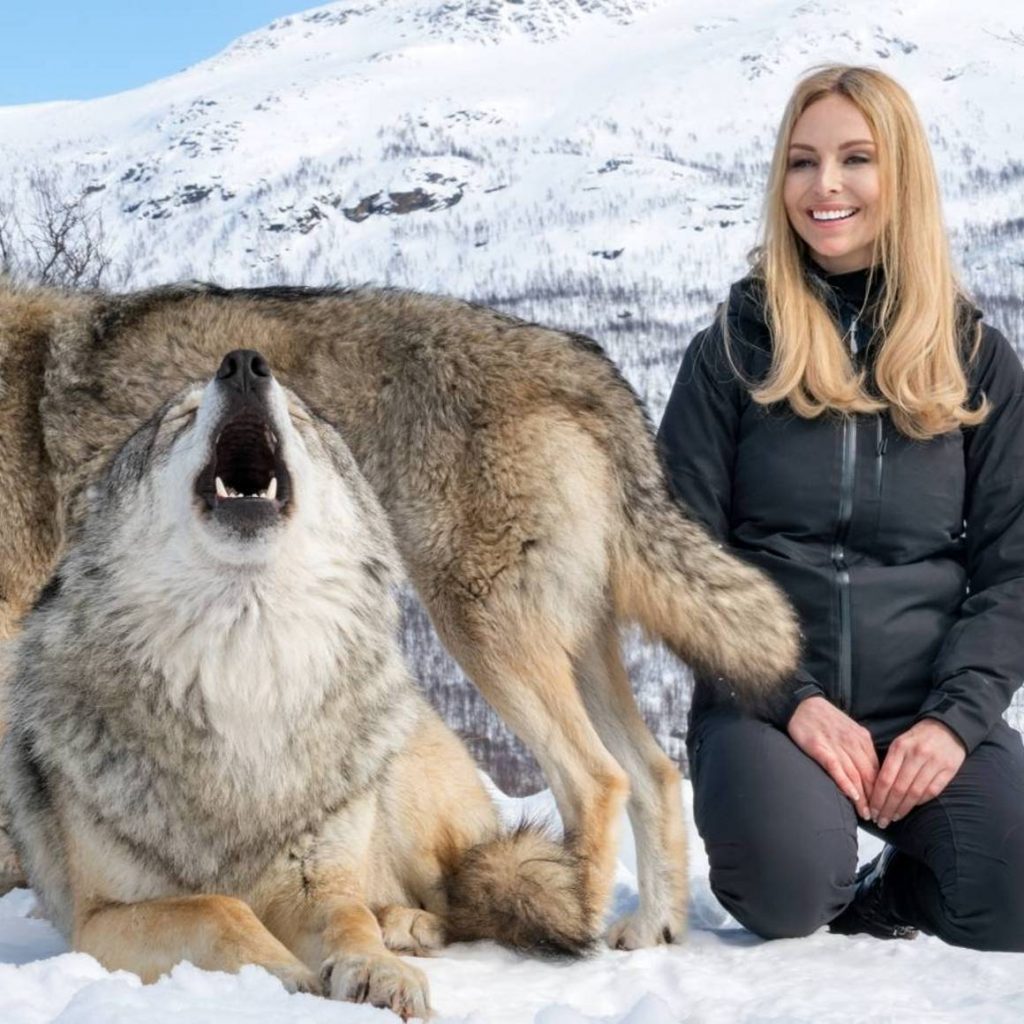 Anneka Norwegian Wolves